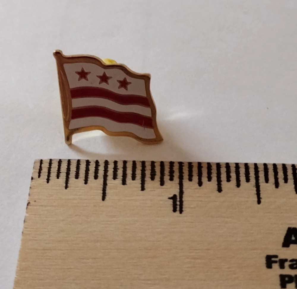 Washington DC Flag Pin