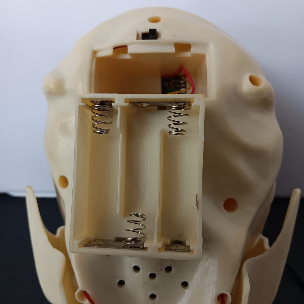 Lighted-Talking Plastic Skull