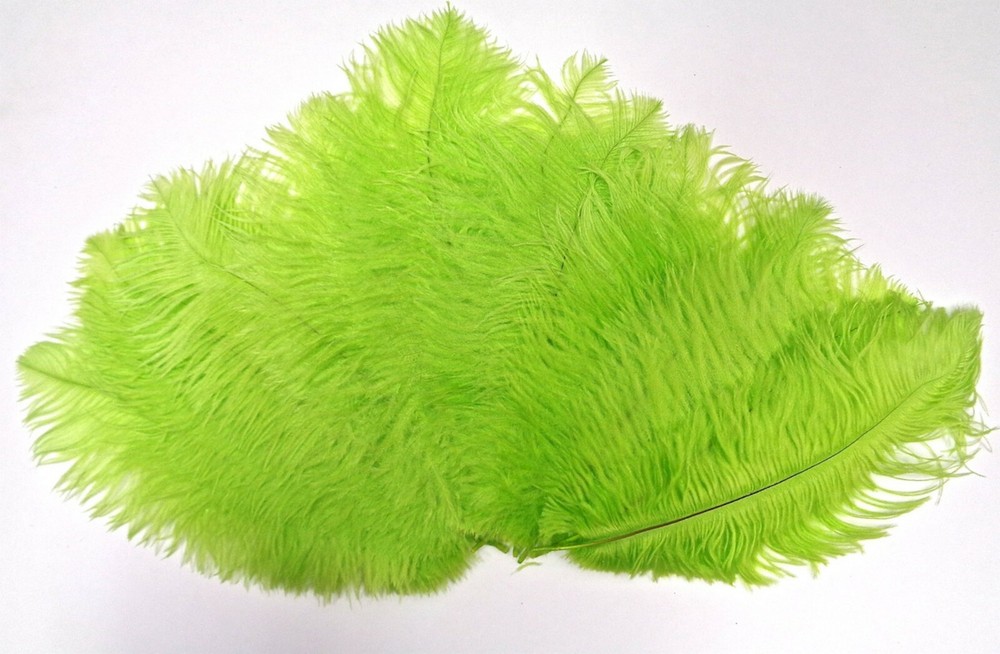 Lime Mini Ostrich Feathers 5-8 Inch per 24