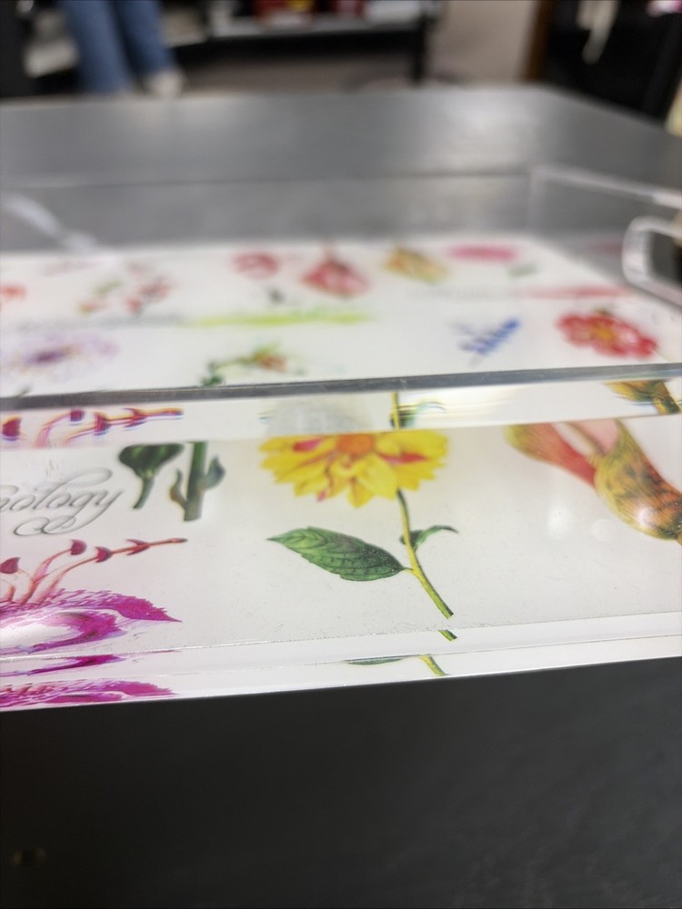 Nicolette Meyer Botanical White