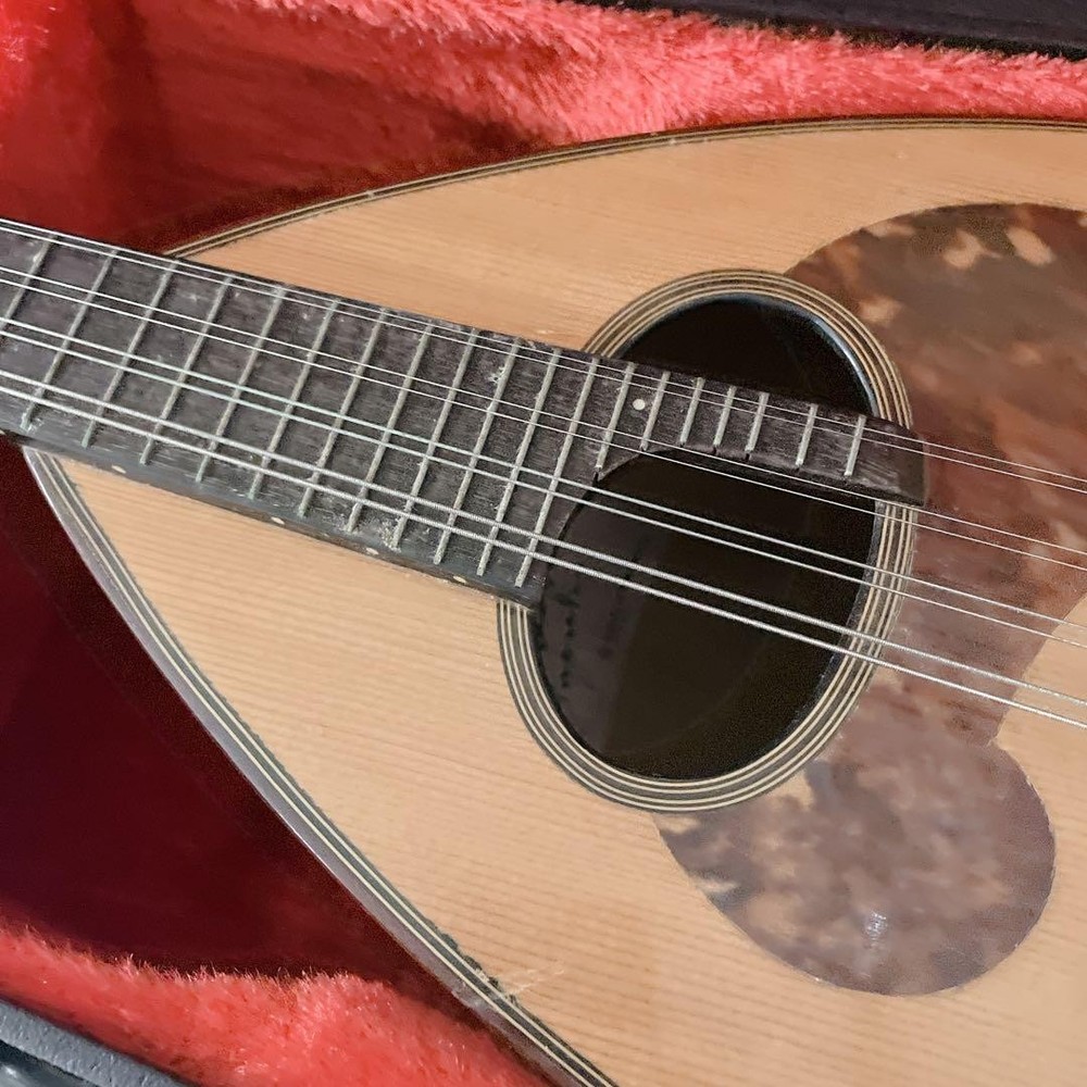 SUZUKI Mandolin M-60 with hard case