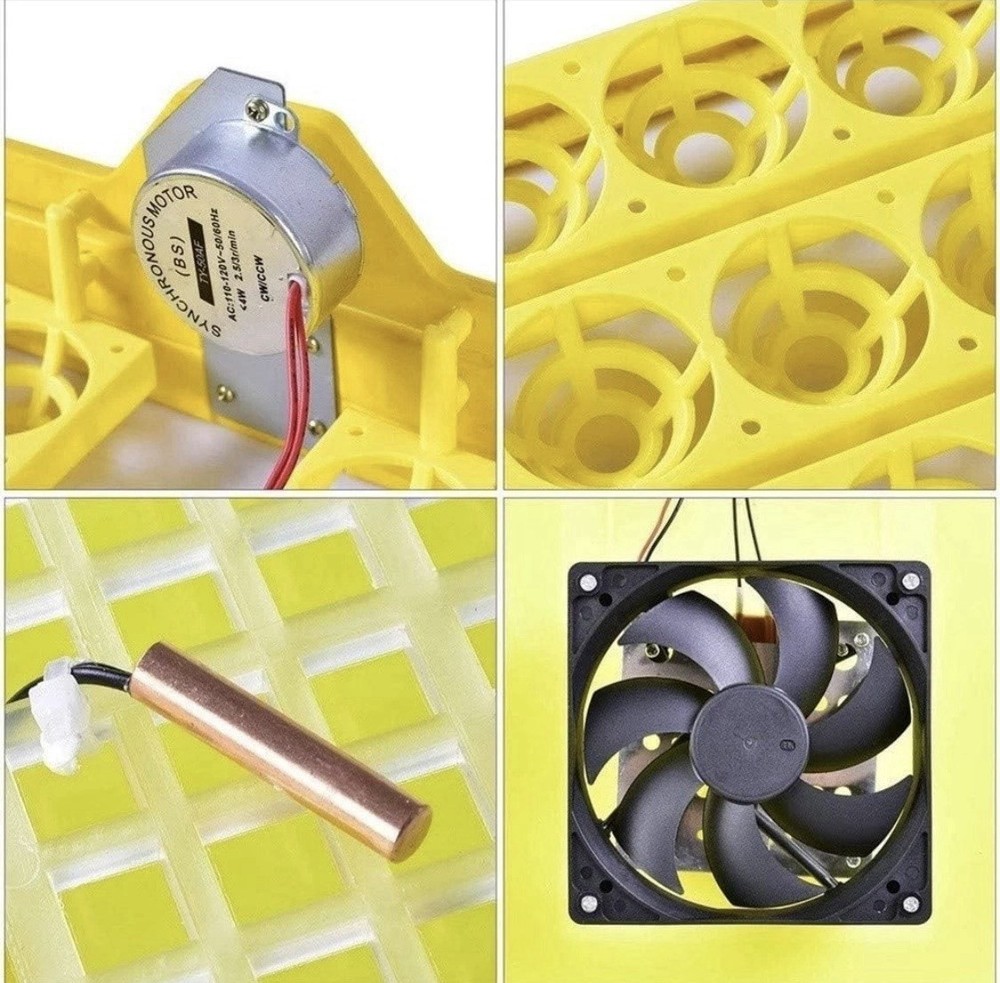 56 Digital Egg Incubator with Automatic Turner, Display, Green