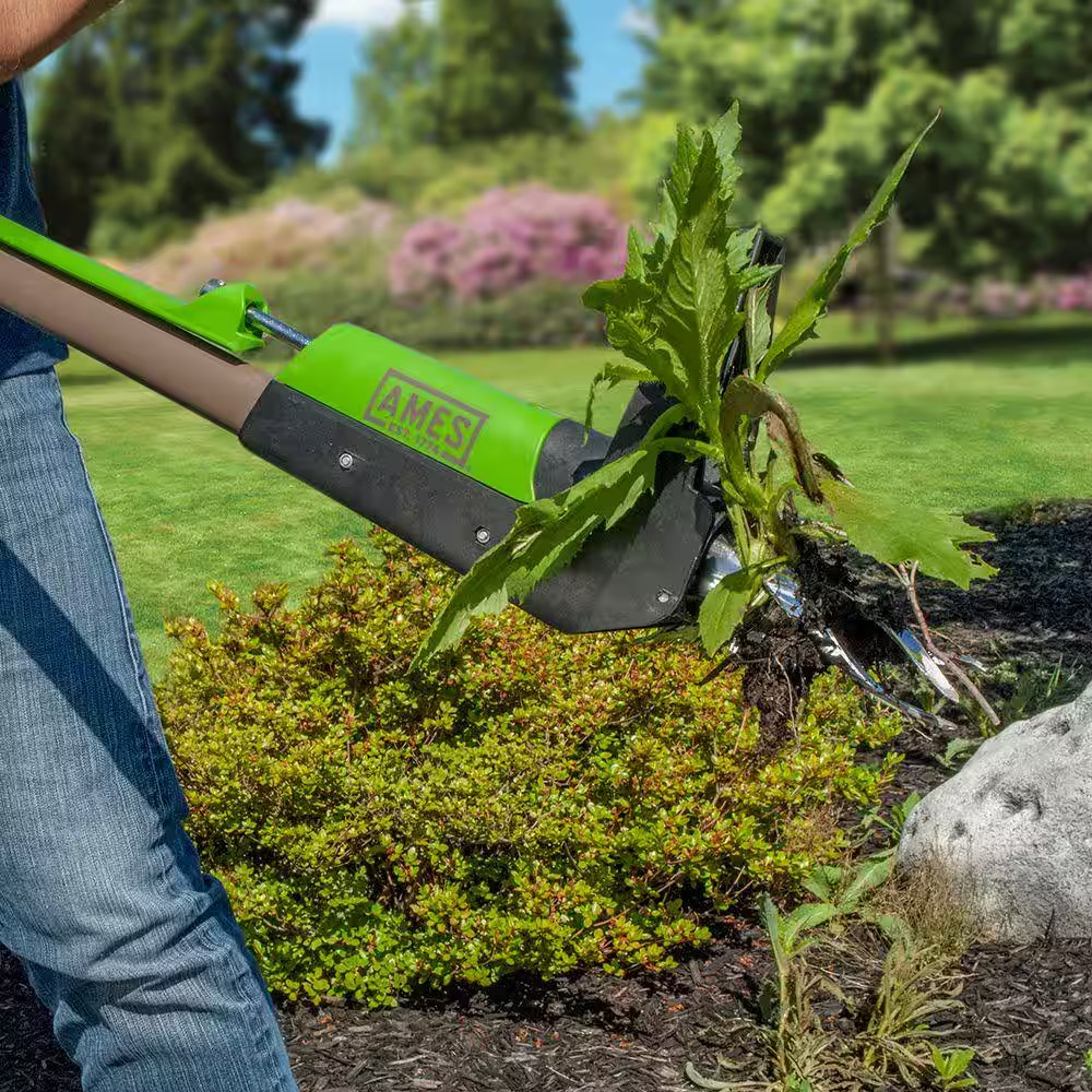 Stand-Up Weeder