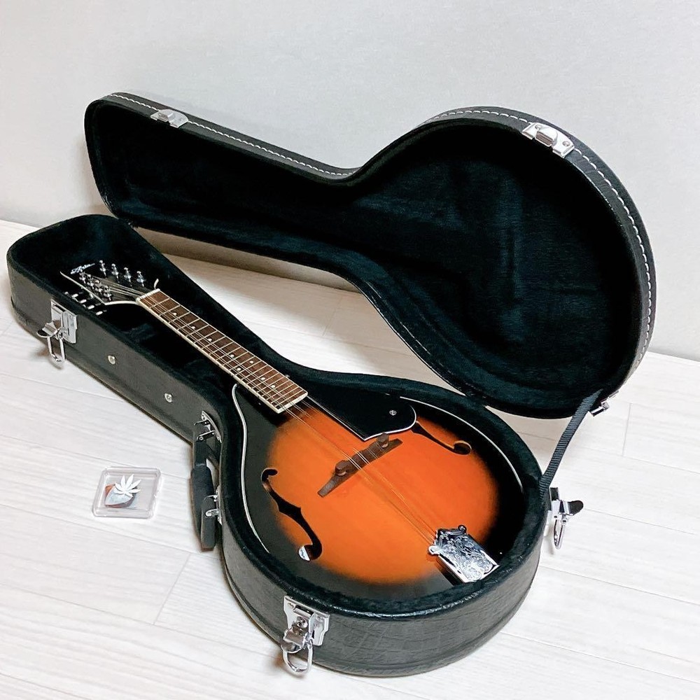 [With case] ARIA AM-20 Mandolin Aria AM 20