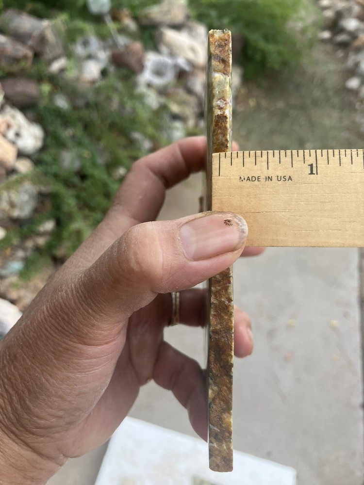 Rainforest Jasper Slab