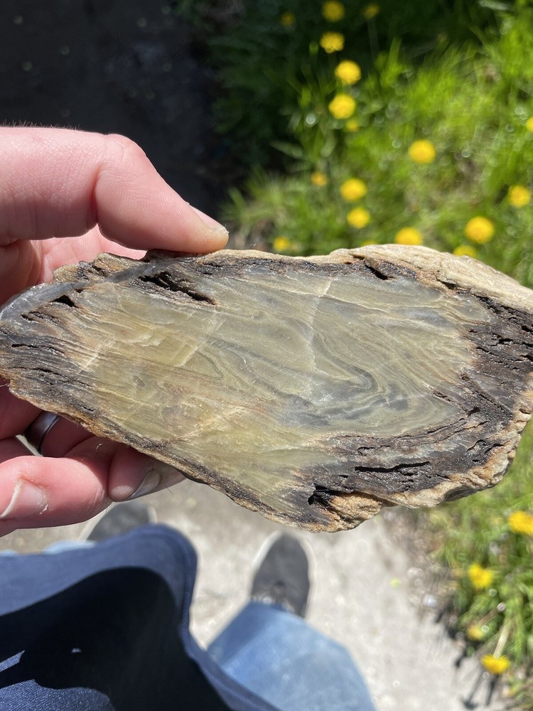 Super Unique, Polished, Agatized/opalized petrified wood