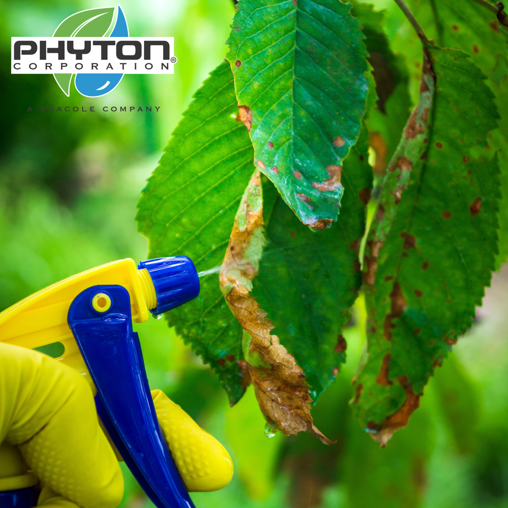 Phyton-27 All-Purpose Plant Disease Control 2oz Bottle