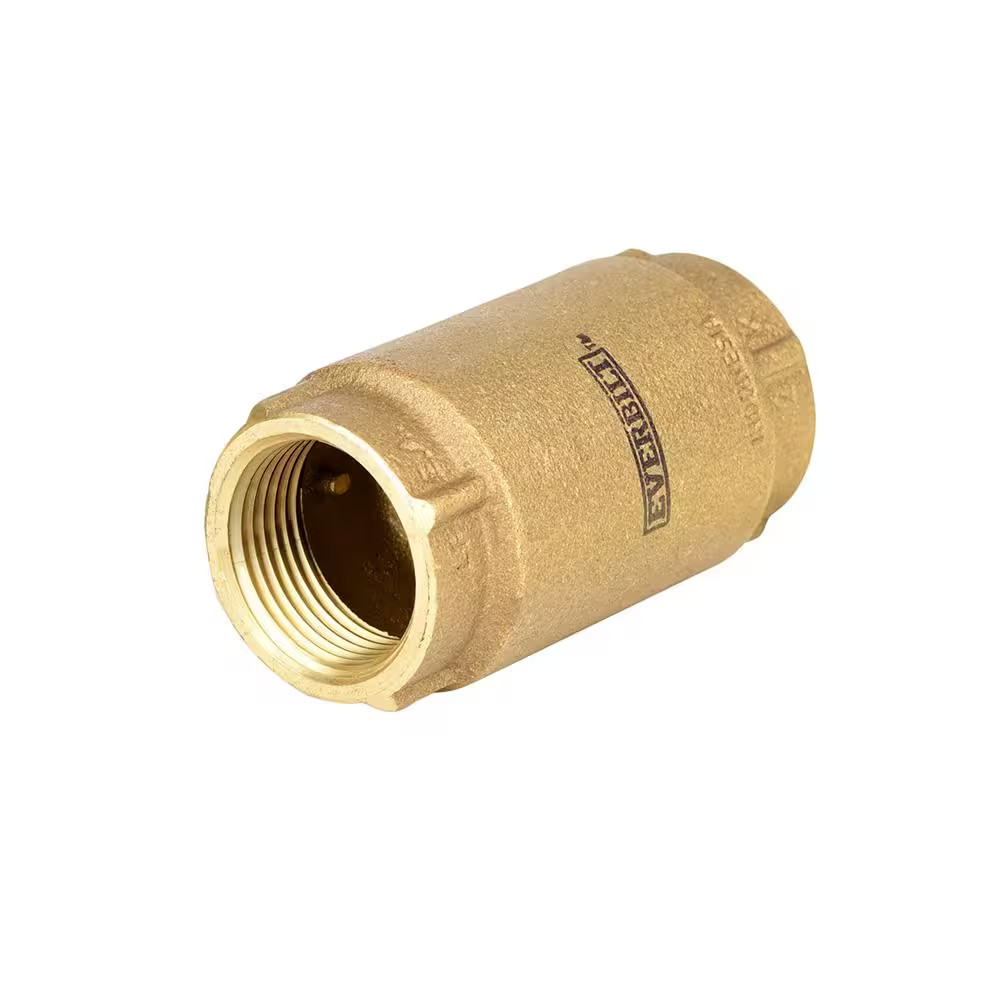 1 In. Brass Check Valve