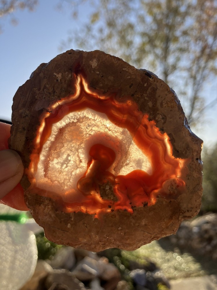 Laguna Agate Slab