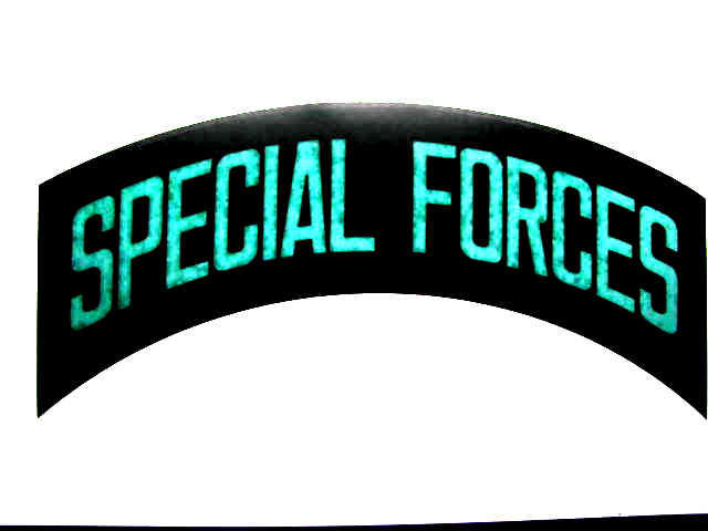 Decals (2), US Army Special Forces (Tab)