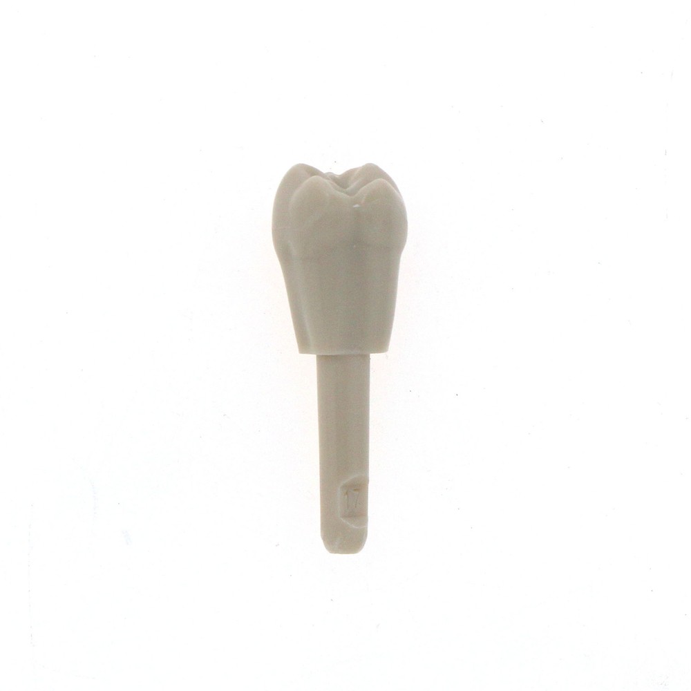 Dental 32 Pcs Tooth Model fit for KaVo Basic Model Teeth Retention Mechanism