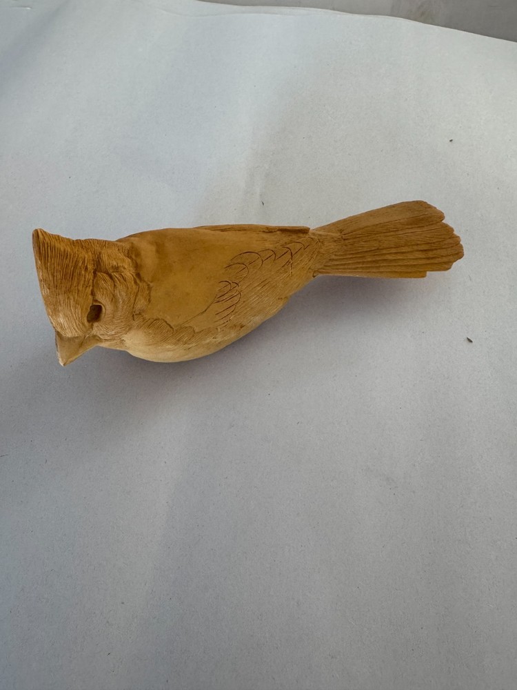 Blue Jay Resin Study Bird