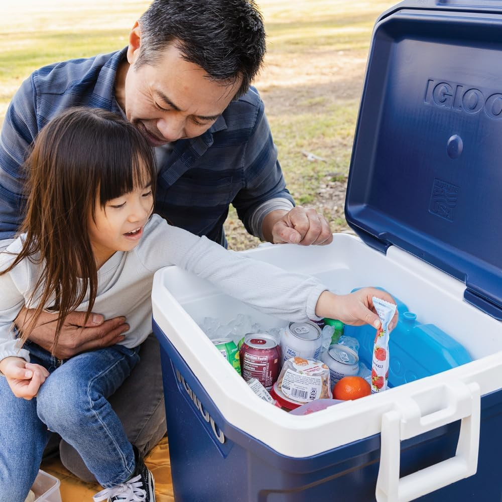 Maxcold Ice Block