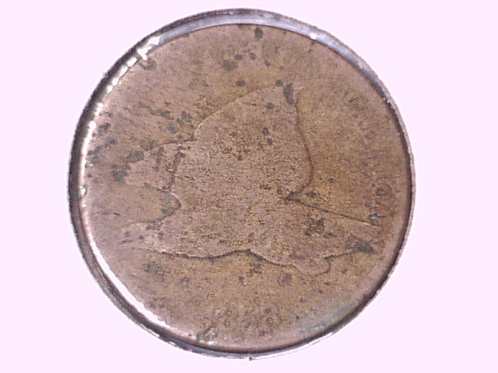 1858 Flying Eagle Cent Genuine Raw Ungraded 00261