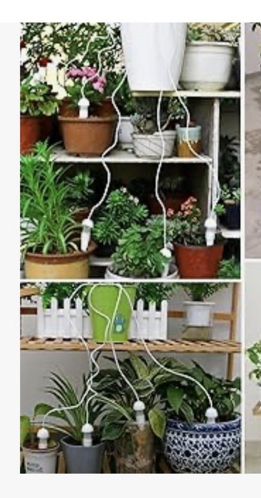 Orchid Drainage Pots, Grow Medium, Watering System.