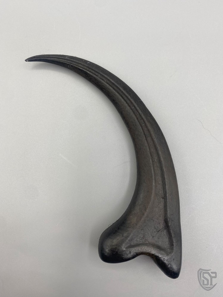 Velociraptor Claw - Jurassic Raptor Claw