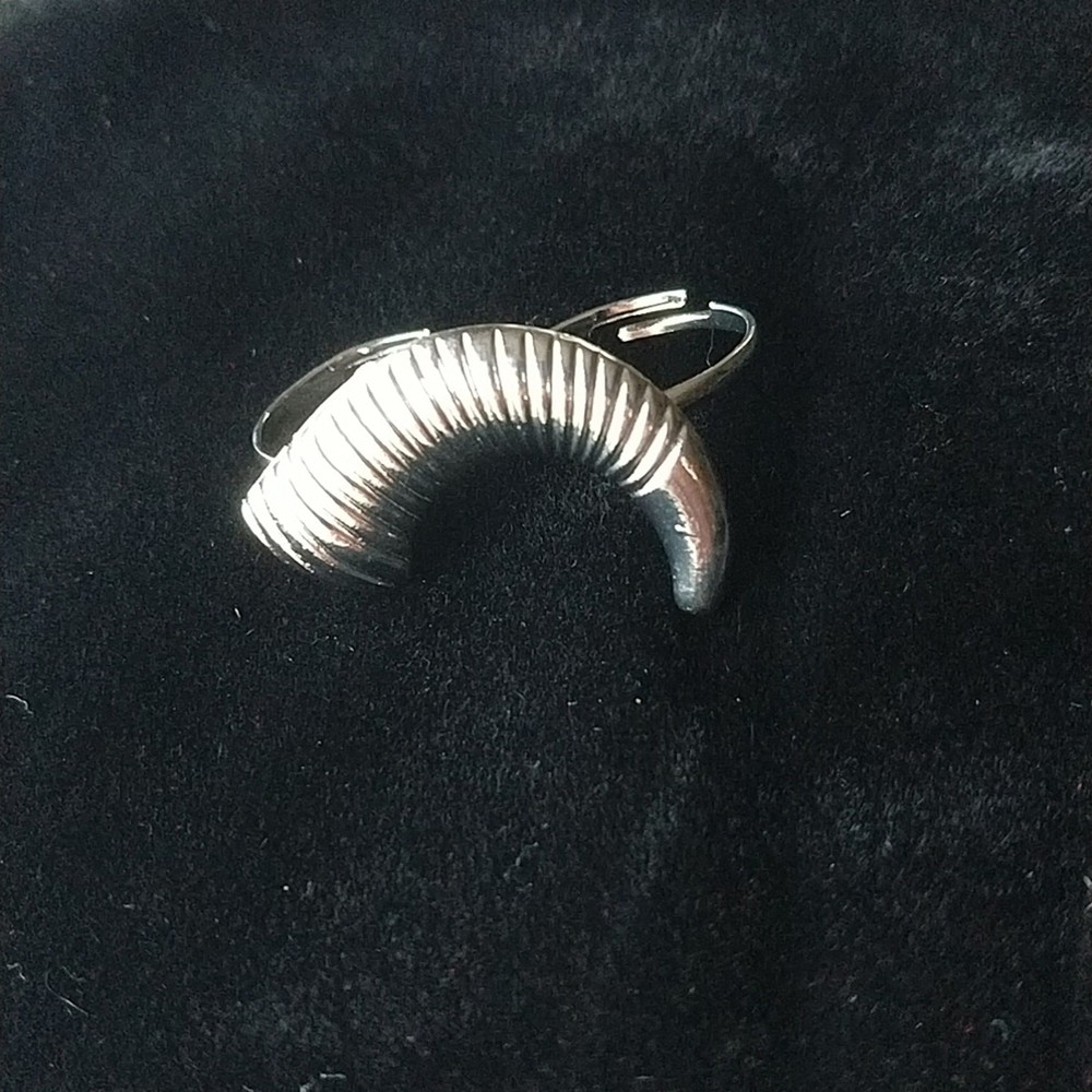 Ring Worm, Adjustable Double Finger Ring; Worm or Ram Horn OSFA both bands