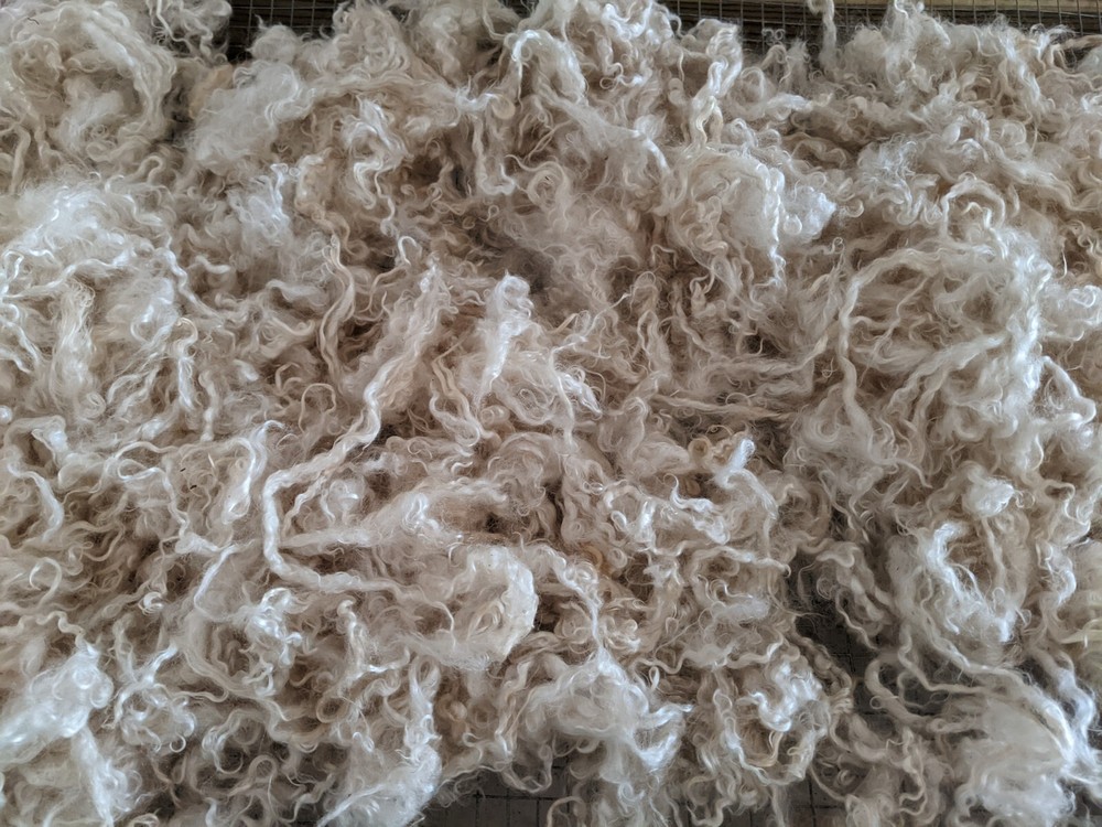 Raw Angora Goat Mohair, washed, white