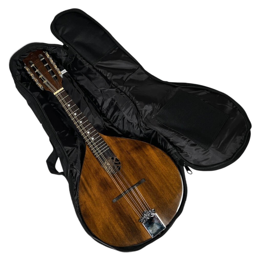 Bag (GigBag) for mandolin