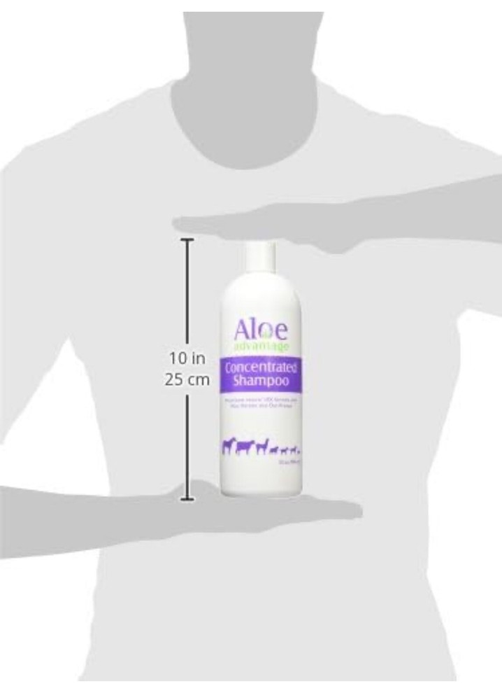Aloe Advantage Aloe Concentrated Shampoo, 32-Ounce