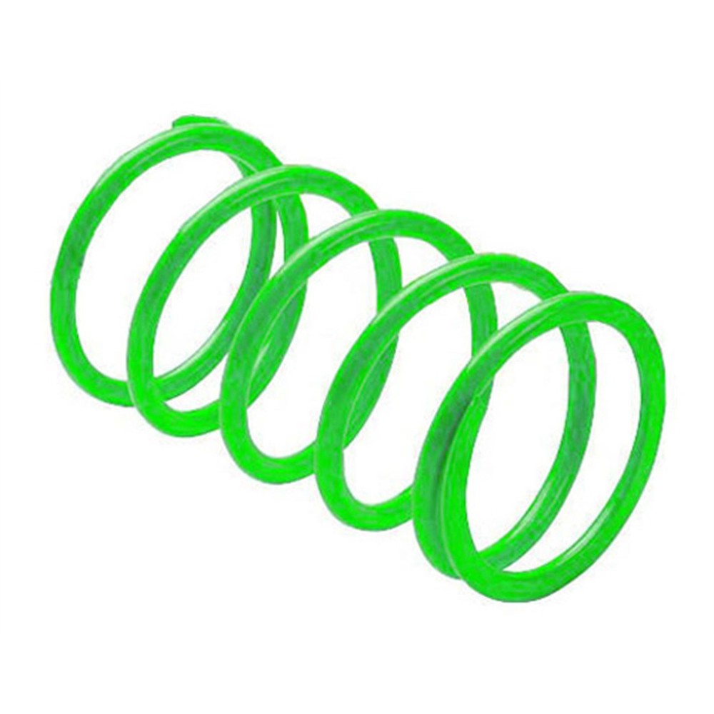 EPI Clutch Spring ,BRITEGREEN PEBS12