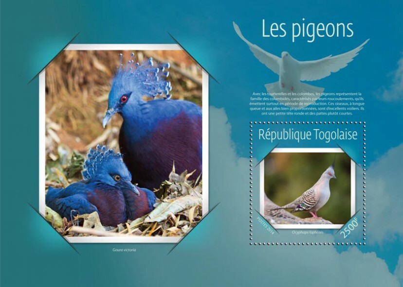 2014 TOGO MNH. PIGEONS   |  Y&T Code: 922  |  Michel Code: 6289 / Bl.1076