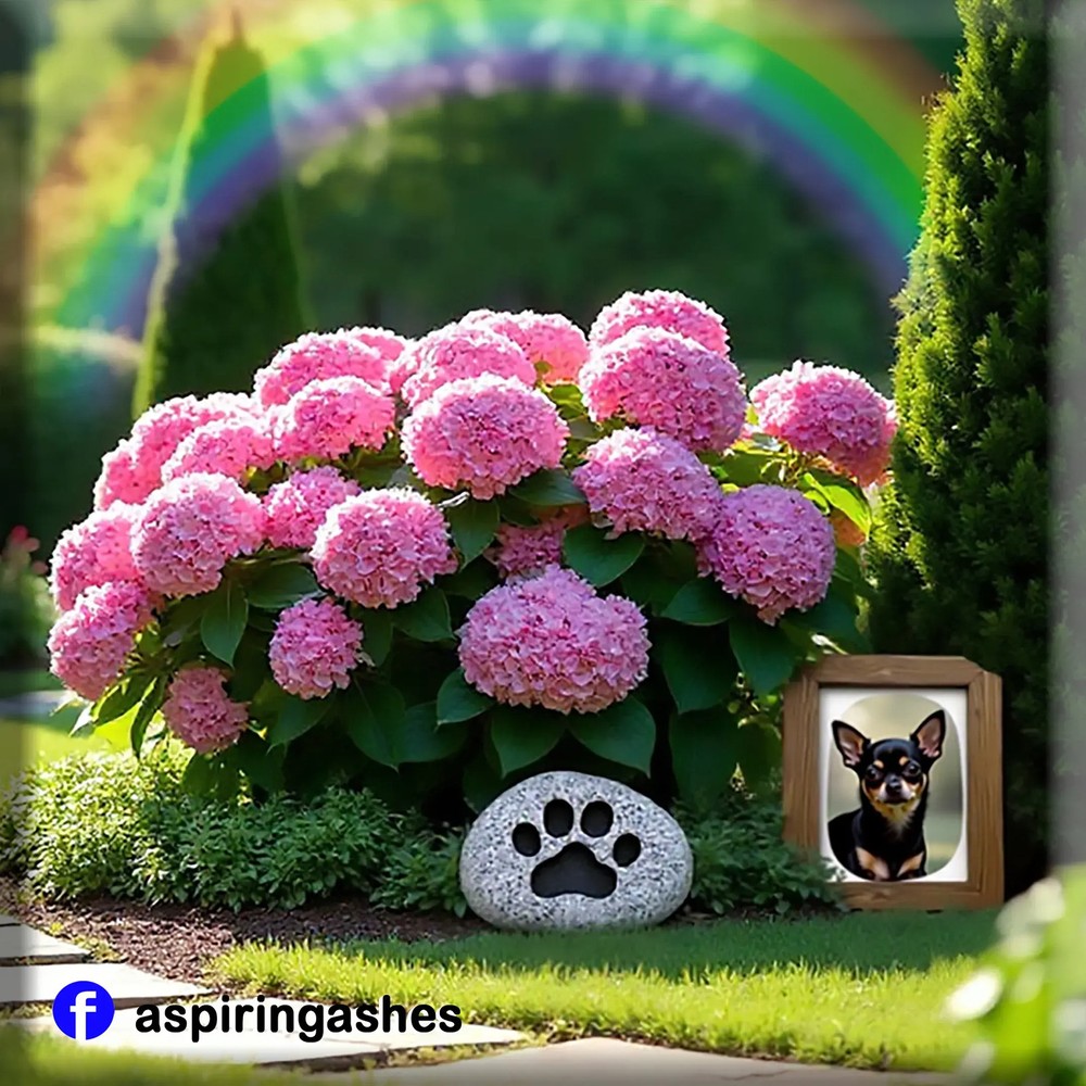 Rainbow Bridge Soil Mix Kit : Pet Memorial Kit - LARGE
