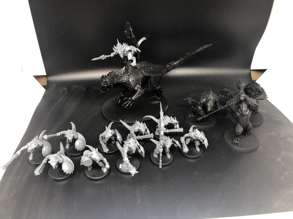 AoS Seraphon Spearhead Lot
