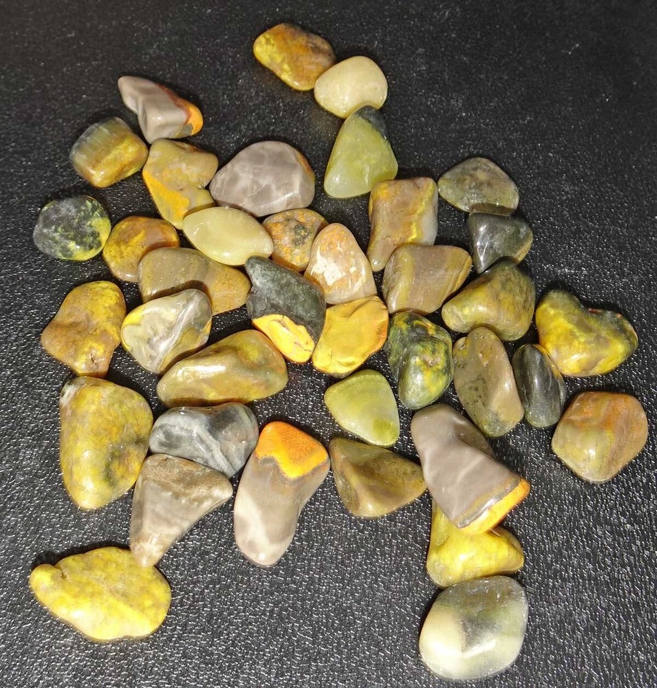 Bumblebee Jasper - 30 Tumbled Stones rt493d