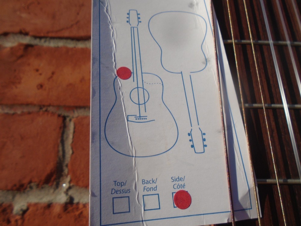 Godin Presentation Classical guitar sf
