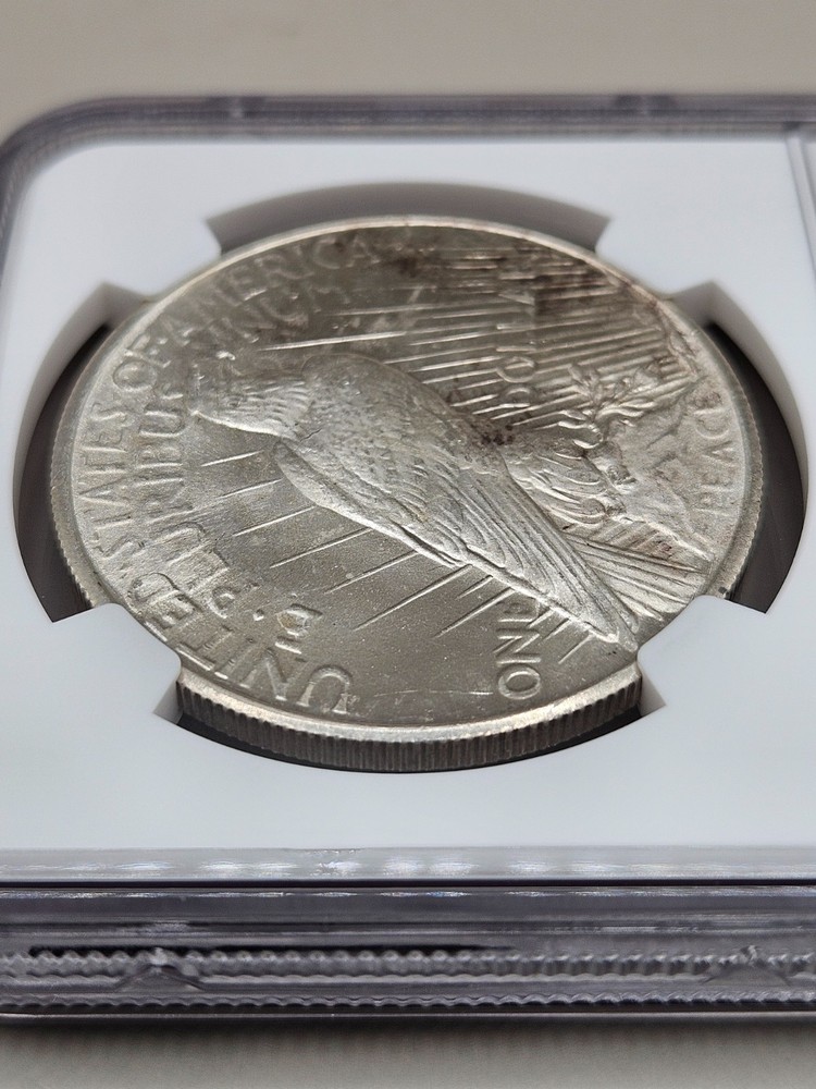 1925 Peace Silver Dollar NGC MS 64