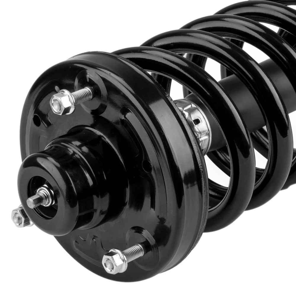 Rear Struts Shocks Coil Spring for 2007-2017 Expedition 171139 2PCS
