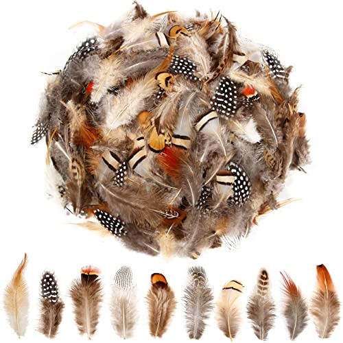 SendyFeather 200pcs 10 Style Natural Feathers Assorted Mixed Feathers for