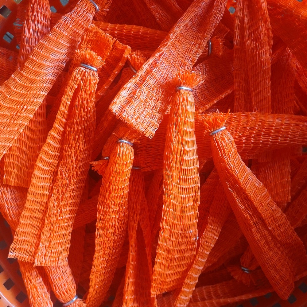 Clam Bags