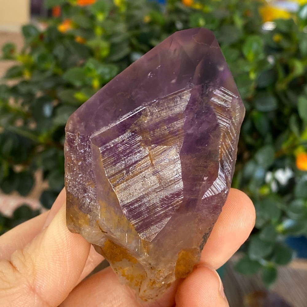 100g Natural Amethyst geode quartz clustercrystal specimen Healing