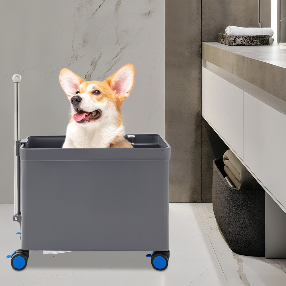Sink With Retractable Handrailmop Basin-Large Size With Telescopic Handle
