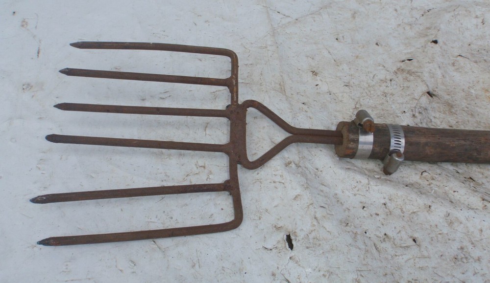 Fish Spear Frog Gig