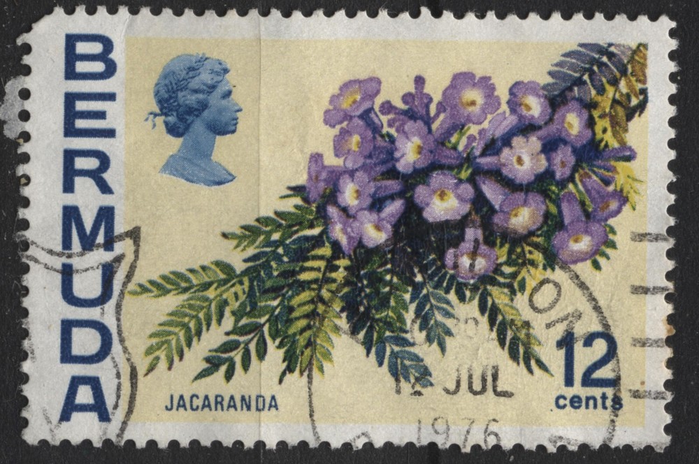 Bermuda 1970 #263 12c Flower, Jacaranda used