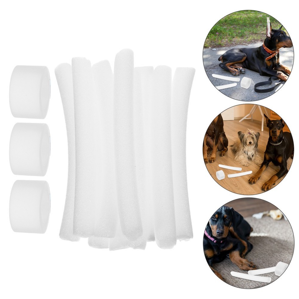 10 Pcs Doberman Ear Posting Kit Dog Tying Device Puppy Support Tool