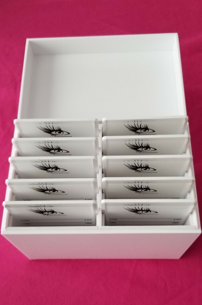 Lash box organizer