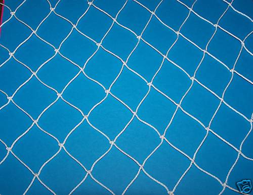 75' x 35' POULTRY NETTING GAME BIRD PHEASANT NET AVIARY NETS 2" Lightweight