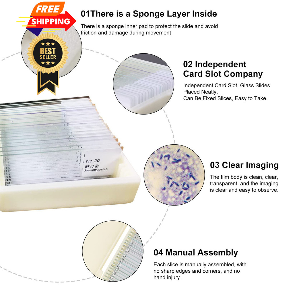 20pcs Microscope Slides Biology And Pathology Prepared Microbiological...