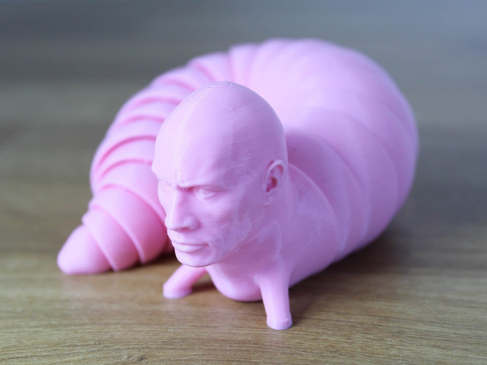 The Rock Fidget Slug