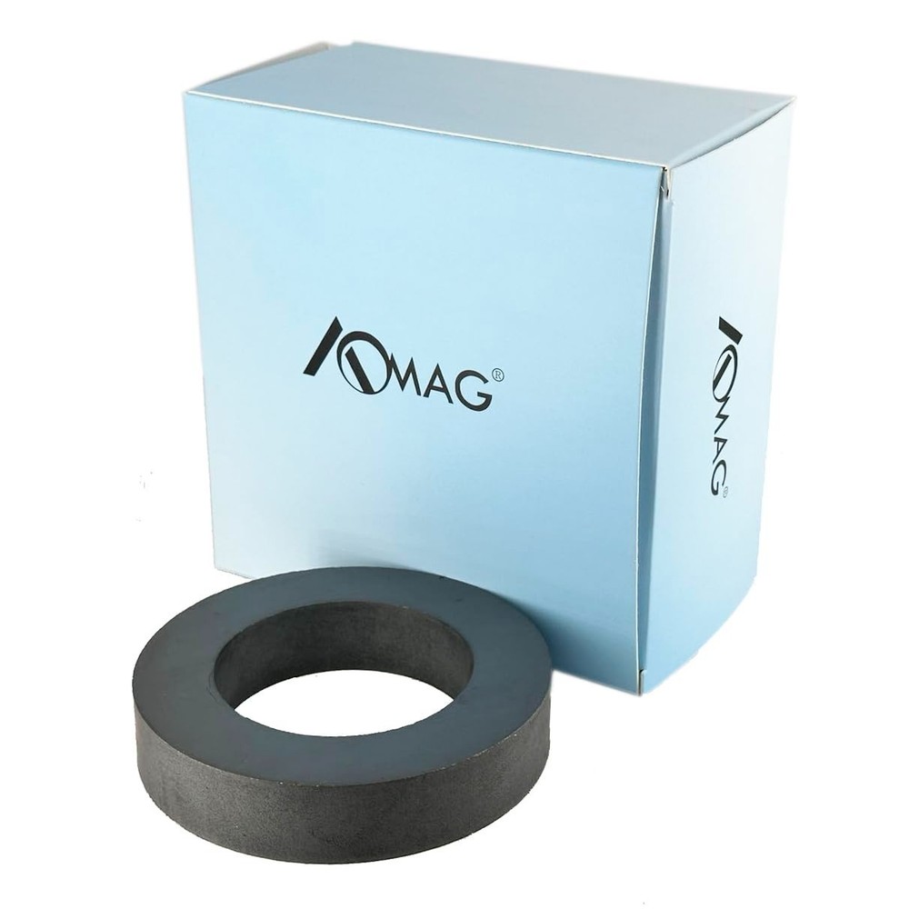 Heavy Duty Ceramic Ferrite Ring Magnet, 4-Inch Diameter for Science & Projects