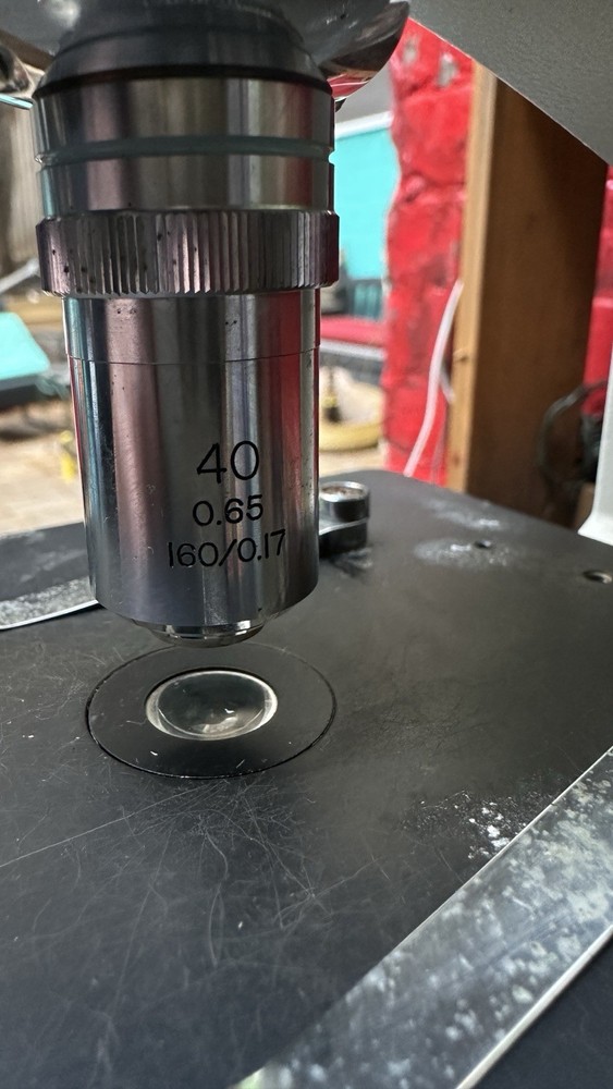 Wolfe Circa 2000 Student Compound Microscope - Model 855838 - Excellent Shape