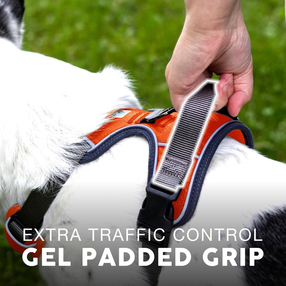 Embark Adventure No Pull Dog Harness, Reflective Trim No Pull Harness for Med...