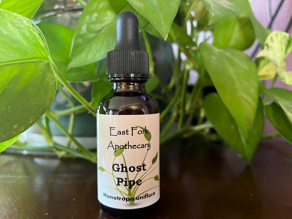 Ghost Pipe Tincture 2 oz. Wildcrafted