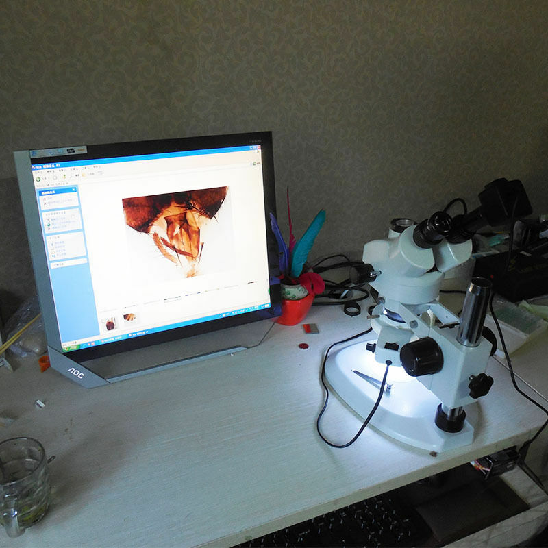 5.0 MP HD USB Microscope Digital Electronic Eyepiece Camera with C Mount Adapter