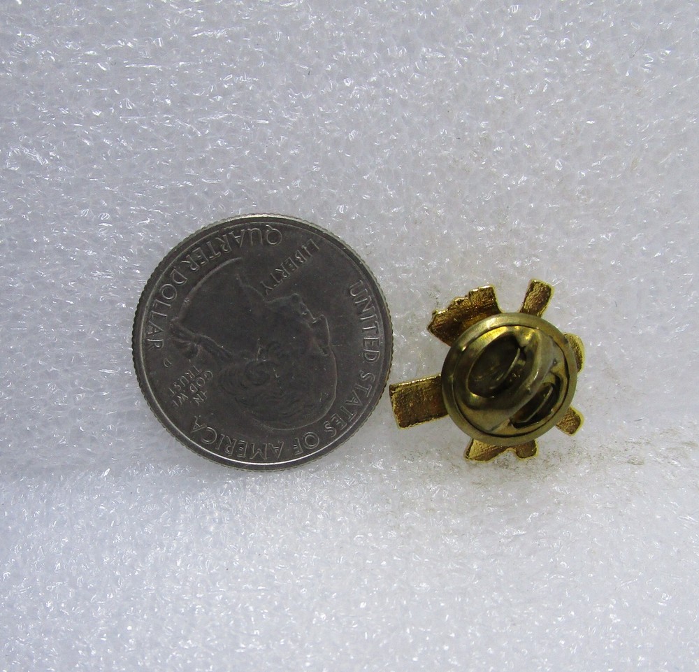 Volunteer Pin