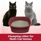 MultiCat Clumping Cat Litter Odor Sealing